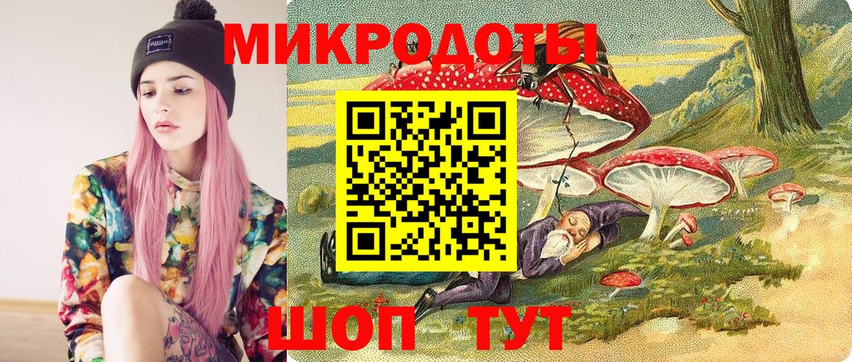 Зима  Псилоцибиновые грибы мицелий  Вход с VPN  Псилоцибиновые грибы Psilocybine cubensis 