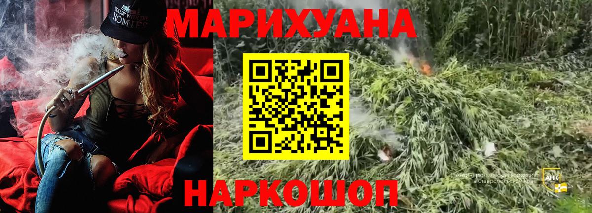 Канабис ГИДРОПОН Зима